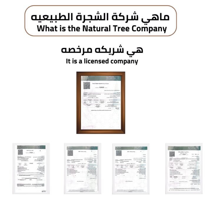 ⁦الكحل الاثمد الاصلي يصلح للرجال و النساء و التوصيل مجاني⁩ - الصورة ⁦3⁩
