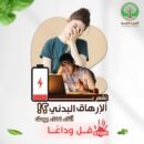 الجينسنغ الأحمر الأصلي + توصيل مجاني — اشترِ واحداً واحصل على الثاني مجاناً