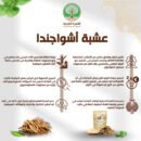 اشواجندا للنوم العميق تصلح للرجال و النساء + التوصيل مجاني للبيت